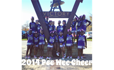 Why Pop warner